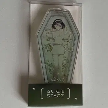 에이스테 스아 아크릴 블록