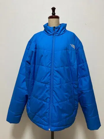 The North Face 다운 자켓 파랑 (블루)