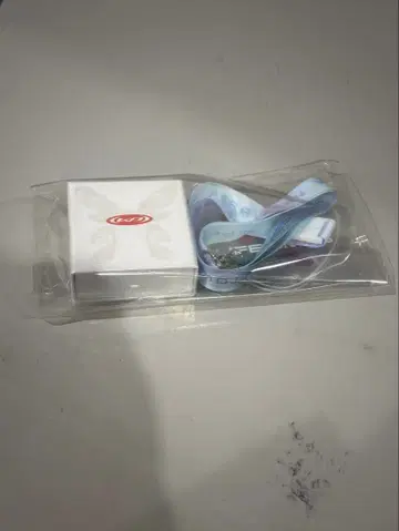 Katy Perry The Lifetimes Tour VIP 굿즈