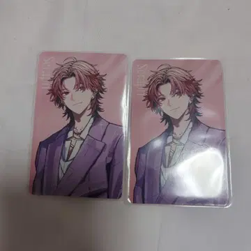 세라프 다즐 가든 포토 카드