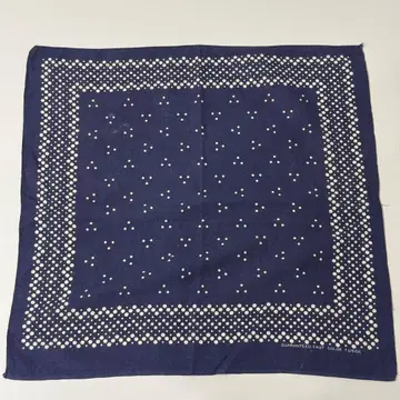 50s 빈티지 FAST COLOR 빈티지 반다나