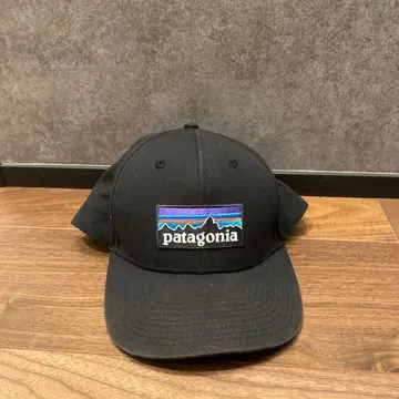 Patagonia 캡