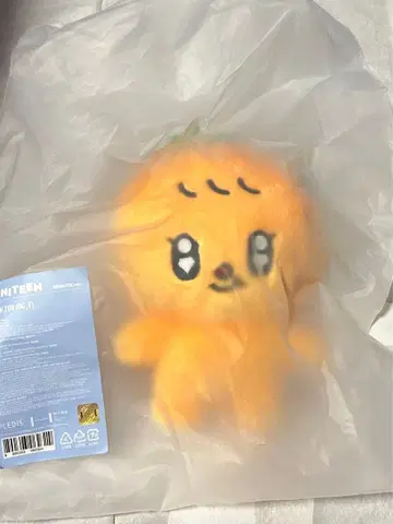 세븐틴 미니틴 푸규리 봉제 인형