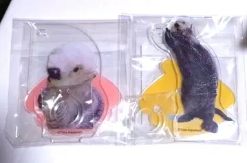 캡슐 복권 랏코의 메이짱 복권 펜 스탠드 메이키라 2개 세트 토바 수족관