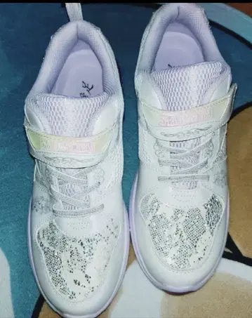 슌소쿠 레몬파이