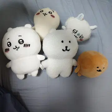 치이카와 나가노의 곰 5체 세트