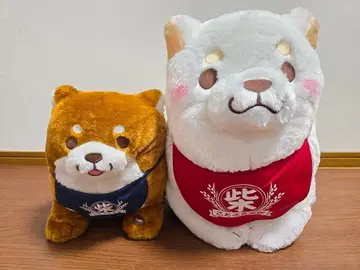 충견 모치시바 봉제 인형 2체 세트