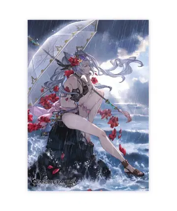 그라브라 플라우 목욕탕 포스터 파샤코레