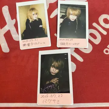 아루루캉 나오 씨 폴라로이드 빛나는 어둠 침식 바그사미 2025