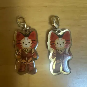 극단 사계 캣츠 시크릿 참 망고제리