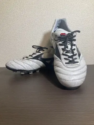 모렐리아2Japan 28.0