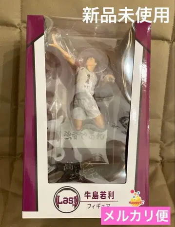 하이큐 우시지마 와카토시 피규어