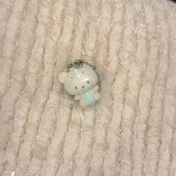 시크릿 오너먼트 마스코트 포차코