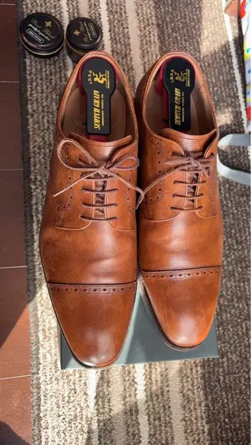 브라운 가죽 SCOTCH GRAIN 가죽 신발