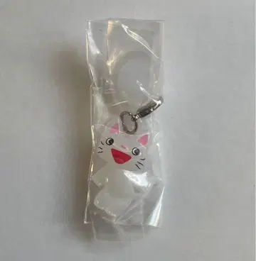 논탄 메지루시 액세서리