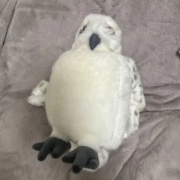 USJ 올빼미 봉제 인형