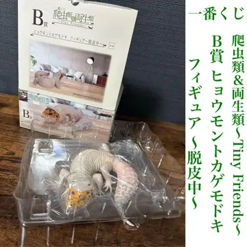 제일복권 파충류&양서류 B상 레오파드 게코 피규어 ~탈피 중~