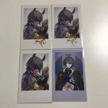 니지산지 코야나기 로우 폴라로이드