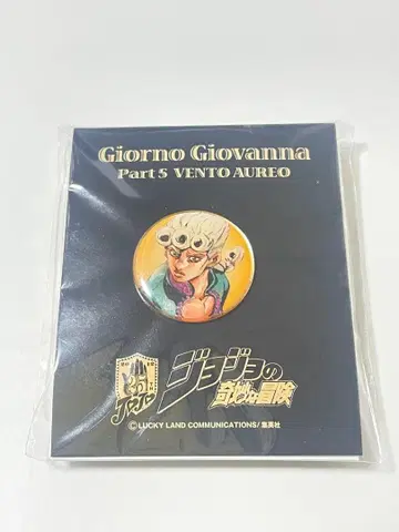 [ 미개봉 새상품 ] 죠르노 죠바나 죠죠의 기묘한 모험 도로리치 당선품