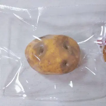 얼음 버터 감자 스퀴즈