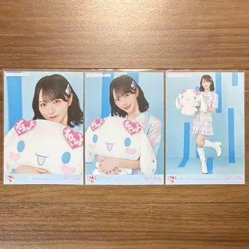 이코럽 노구치 이오 시나모롤 콜라보 2025 브로마이드 컴프