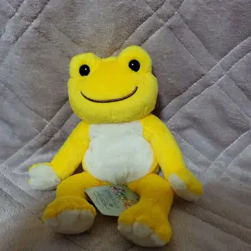 개구리 피클스 햇살