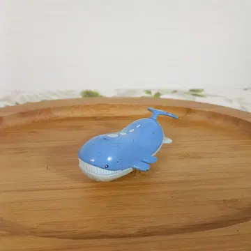 포켓몬 몬코레 호엘오