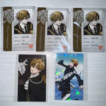 비바 렌 비쥬 카 밴딩 혜택 vs ambivalenz xlamv