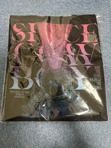 이와타 타카노리 토트백