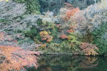 자켓 & 슬랙스 새상품급입니다.