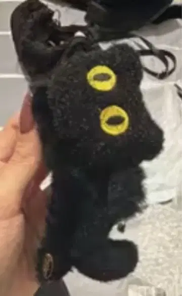 검은 고양이 디자인 액세서리