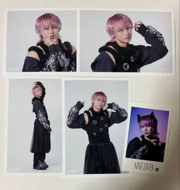 초특급 슈야 NINE LIVES 브로마이드 A 세미컴프