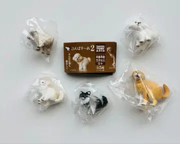 [ 5종 세트 ] 펀바리누 2 시크릿 없음