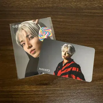 HAYATO ONE N' ONLY 트레이딩 카드 AMAZONIA