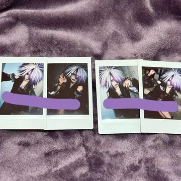 DAMNED 취화 폴라로이드