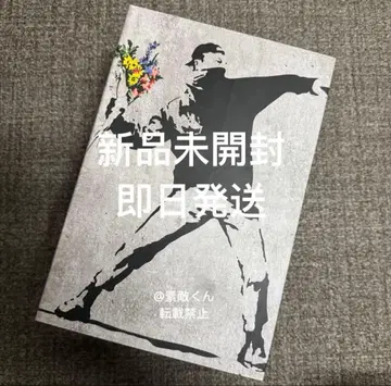 BE@RBRICK BANKSY FLOWER BOMBER