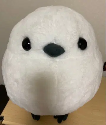 복복 시마연가 초초 울트라 BIG 봉제 인형