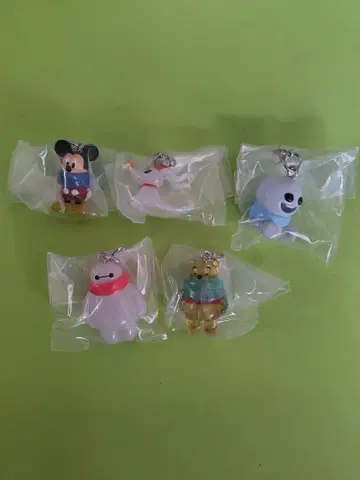 디즈니 캐릭터 메지루시 액세서리 Winter 전 5종 세트