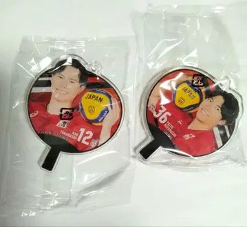 배구 남자 일본 대표 부채 아크릴 참 타카하시 아이 미즈마치 타이토