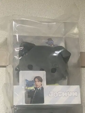 JO1 Jochum 피하이 킨죠 스카이 봉제 인형 미개봉 새상품