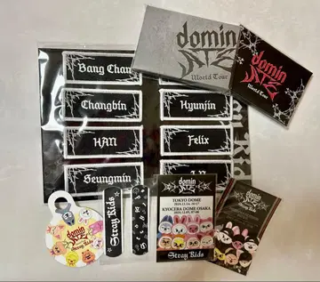 straykids dominATE 업그레이드 굿즈