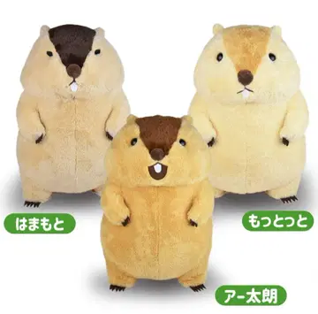 마모트의 더 마모트 울트라 BIG 봉제 인형 3종