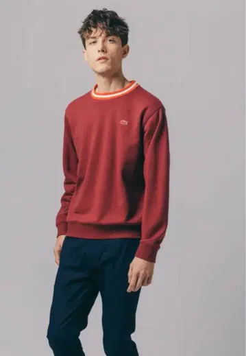 라코스테 트레이닝복