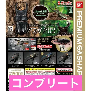 생물대도감 어드밴스 사슴벌레 02