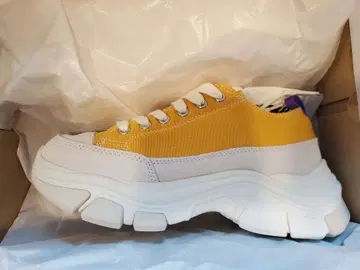 [새상품] NERDY Zelig Canvas Low 24.5cm 스니커즈