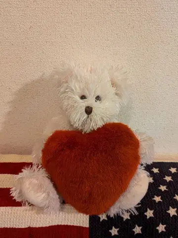 하트 모양 쿠션을 가진 화이트 베어