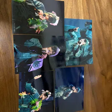 닌뮤 육단 프로마이드 식만류삼랑 프로마이드 5장