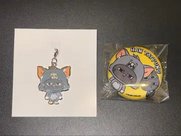 BOYNEXTDOOR 푸넥도 POPUP 테산 참 캔뱃지