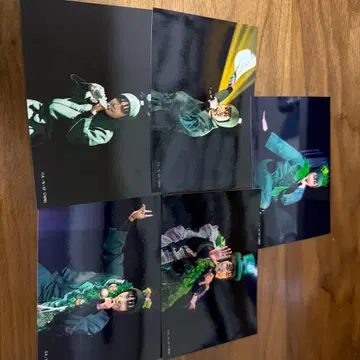 닌뮤 6단 로쿠조 프로마이드 5장 세트