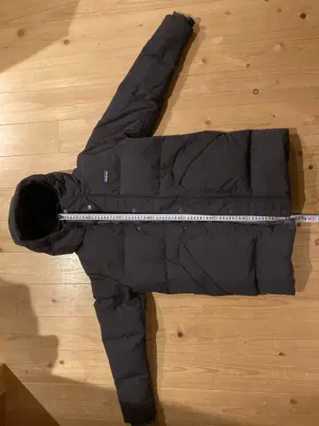 Patagonia 다운드리프트 후드티